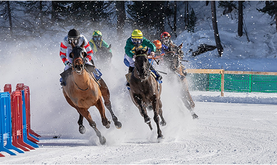 Top Equestrian Events You Can’t Miss This Year