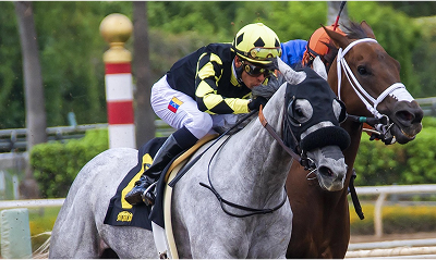 How to Build a Stronger Bond with Your Horse